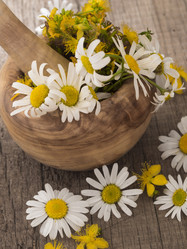 Similar image 6054566