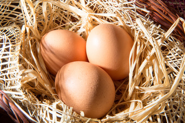 Similar image 6054622