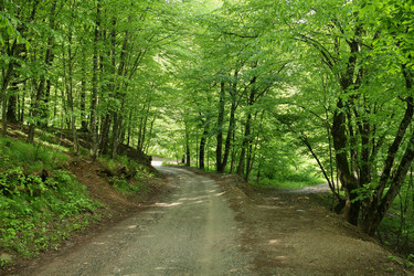 Similar image 6054626