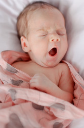 Similar image 6054849