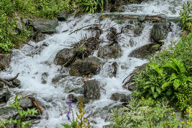 Similar image 6054859