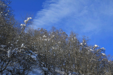 Similar image 6055100