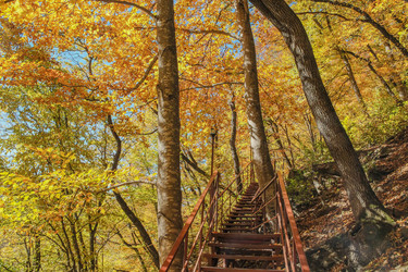 Similar image 6055346