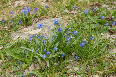 Similar image 6055405