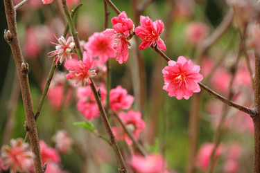 Similar image 6055521