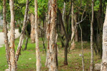 Similar image 6055613