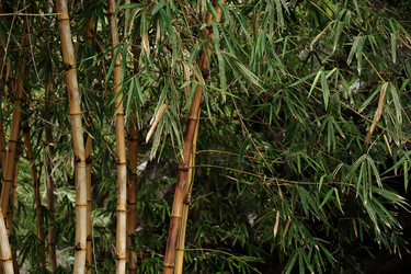 Similar image 6055616