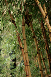 Similar image 6055624