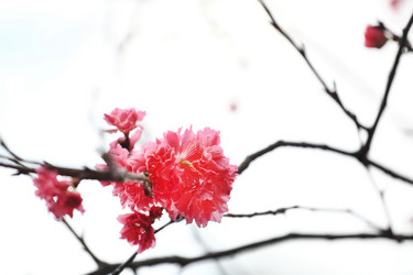 Similar image 6055644