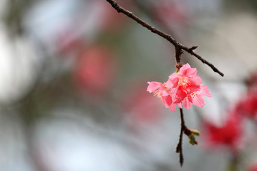 Similar image 6055645