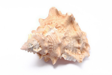 Similar image 6055658