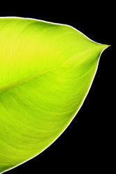 Similar image 6055692