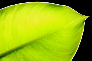 Similar image 6055695