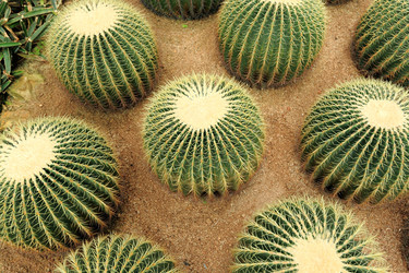 Similar image 6055706