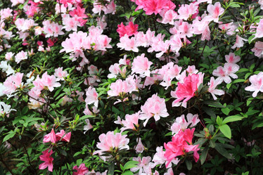 Similar image 6055709