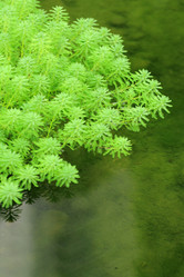 Similar image 6055723