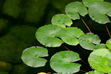 Similar image 6055724