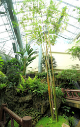 Similar image 6055729