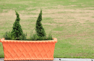 Similar image 6055804