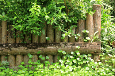 Similar image 6055815