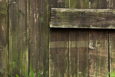 Similar image 6055818