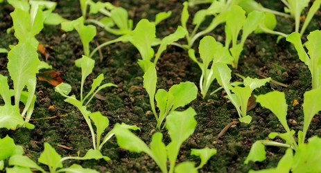 Similar image 6055832