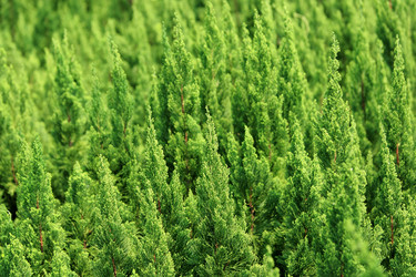 Similar image 6055966