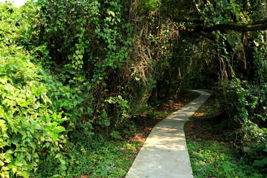 Similar image 6055981