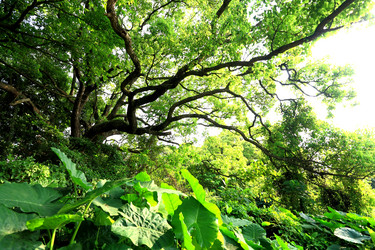 Similar image 6055983