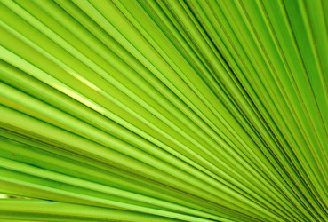 Similar image 6055984