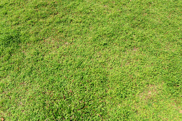 Similar image 6055986