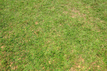 Similar image 6055985