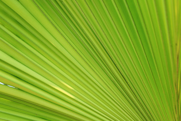 Similar image 6055997