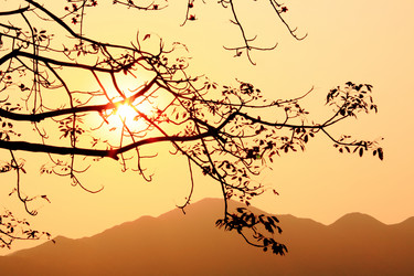 Similar image 6056045