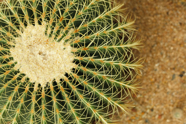 Similar image 6056147