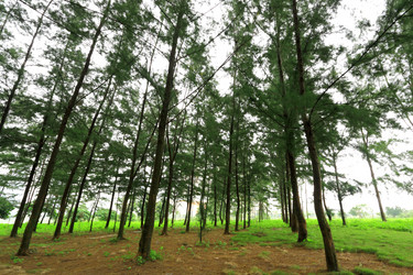 Similar image 6056156