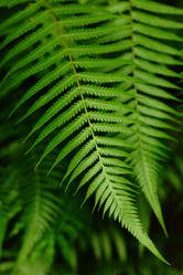 Similar image 6056166