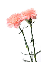 Similar image 6056217