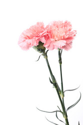 Similar image 6056237