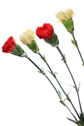 Similar image 6056245