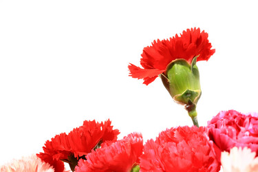 Similar image 6056254