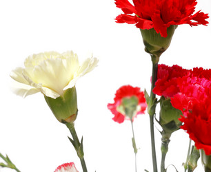 Similar image 6056255