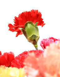 Similar image 6056279