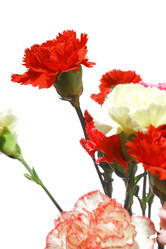 Similar image 6056282