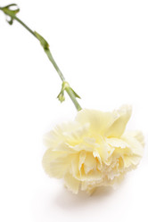 Similar image 6056286