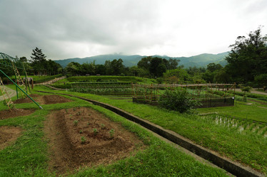 Similar image 6056428