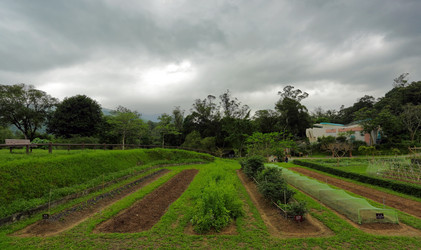 Similar image 6056437