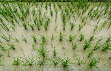 Similar image 6056483