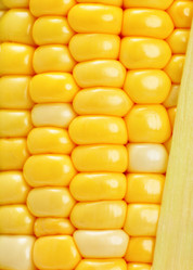 Similar image 6056487