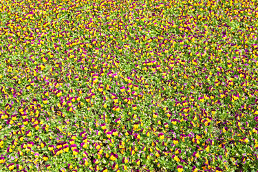 Similar image 6079400